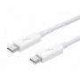 Apple Thunderbolt cable (2.0 m)