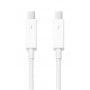 Apple Thunderbolt cable (2.0 m)