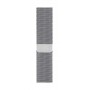 Apple Watch Milanese Loop Band (40mm)