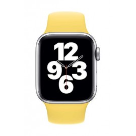 Apple Watch Sport Band (40mm) - Ginger - Regular