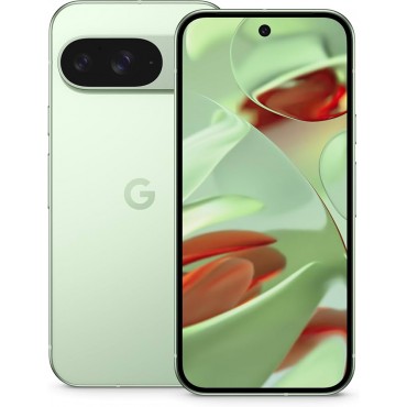 Google Pixel 9 (Wintergreen, 256 GB)  (12 GB RAM)