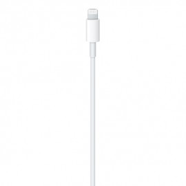 USB-C to Lightning Cable (1m) - Gloabl